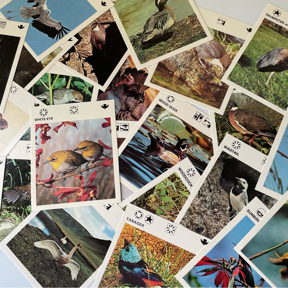 Lot of 25 Vintage Birds Flash Cards for Crafting, Journaling or Scrapbooking